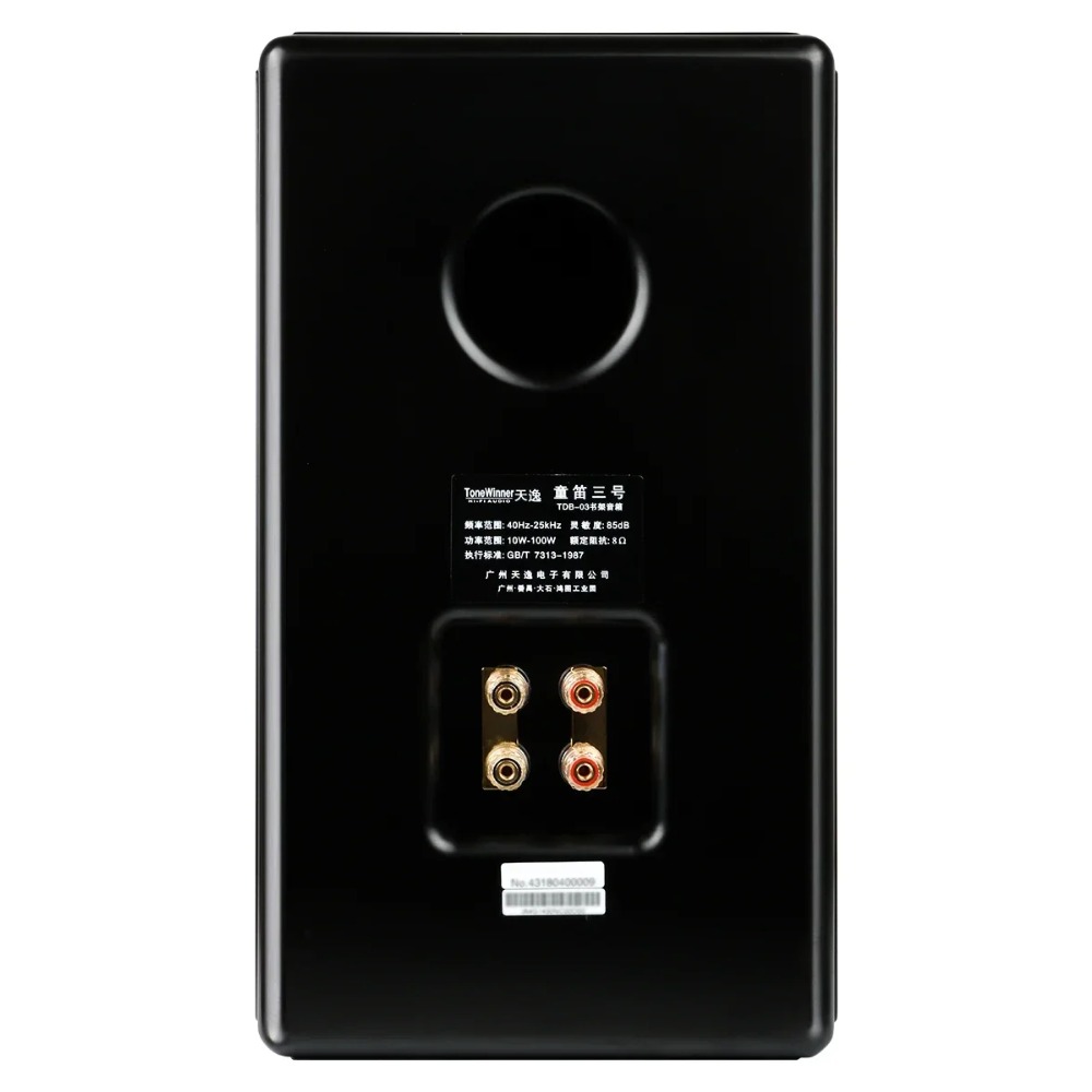 Enceintes tour de sol TD-3 de  - Home Cinema Qualité avis et prix
